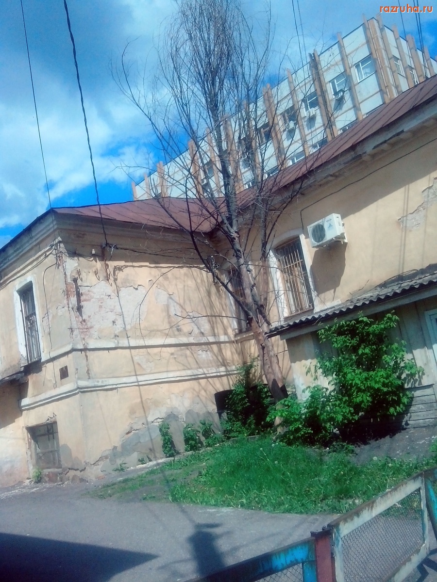 Курск - Высохло дерево