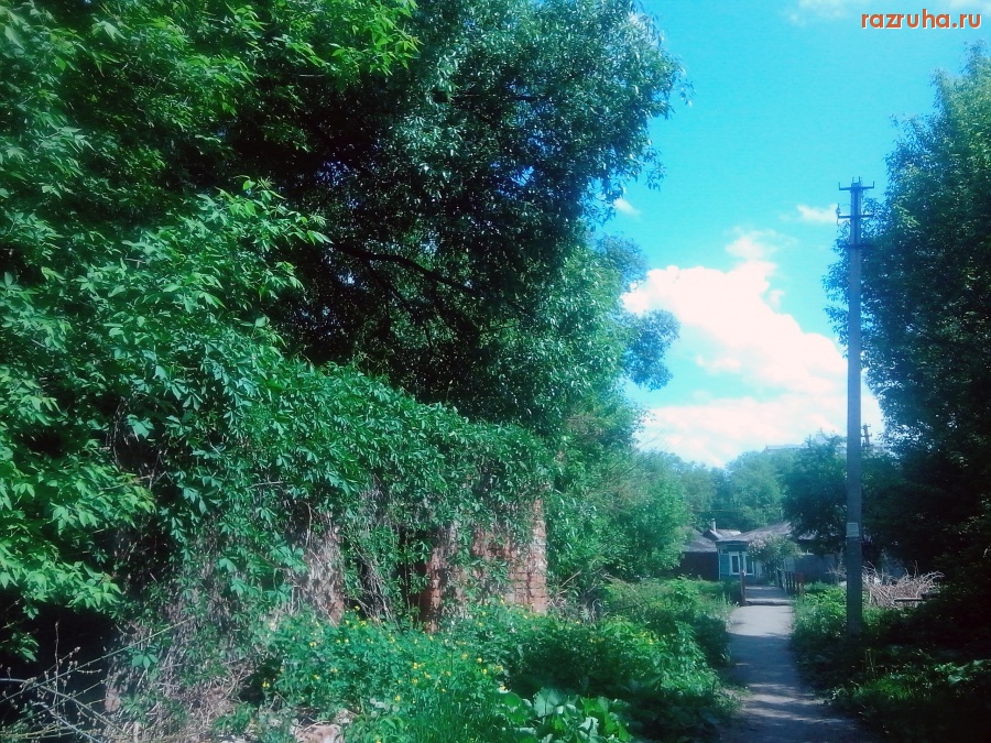 Курск - Будка у Кура