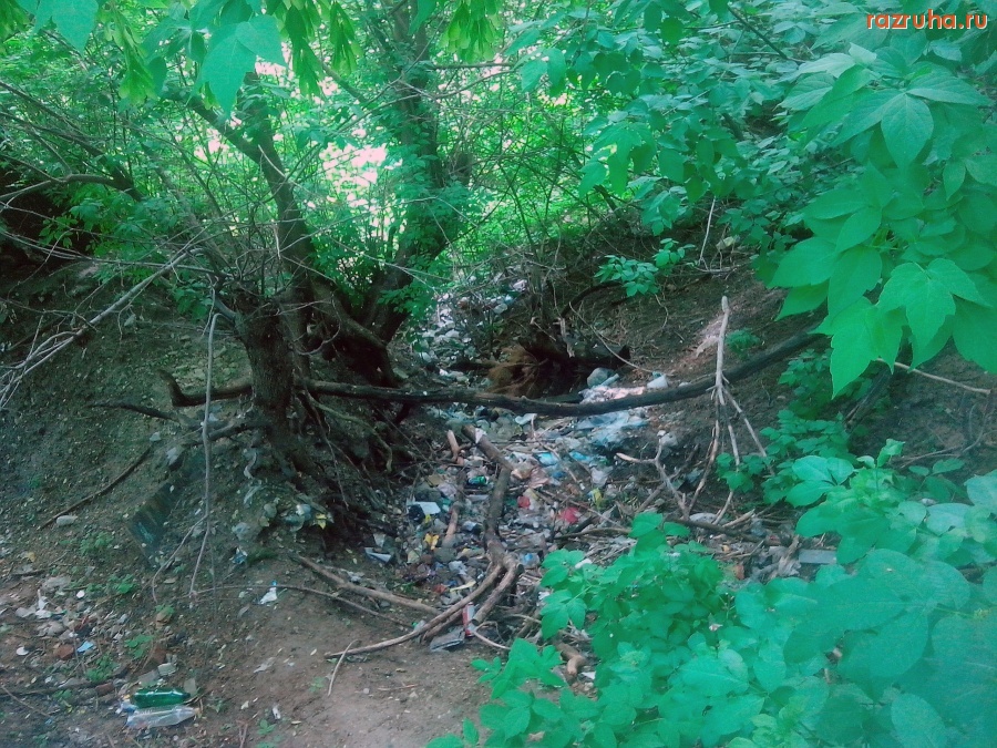 Курск - Мусор у лестницы