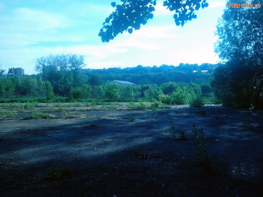 Курск - Заросшая площадка