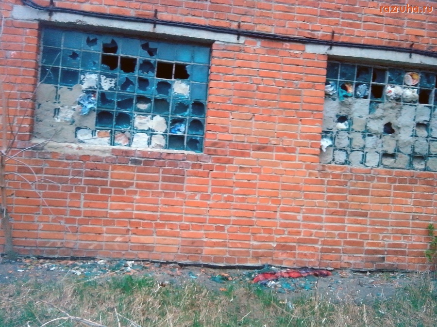 Курск - Демонстрация скотства