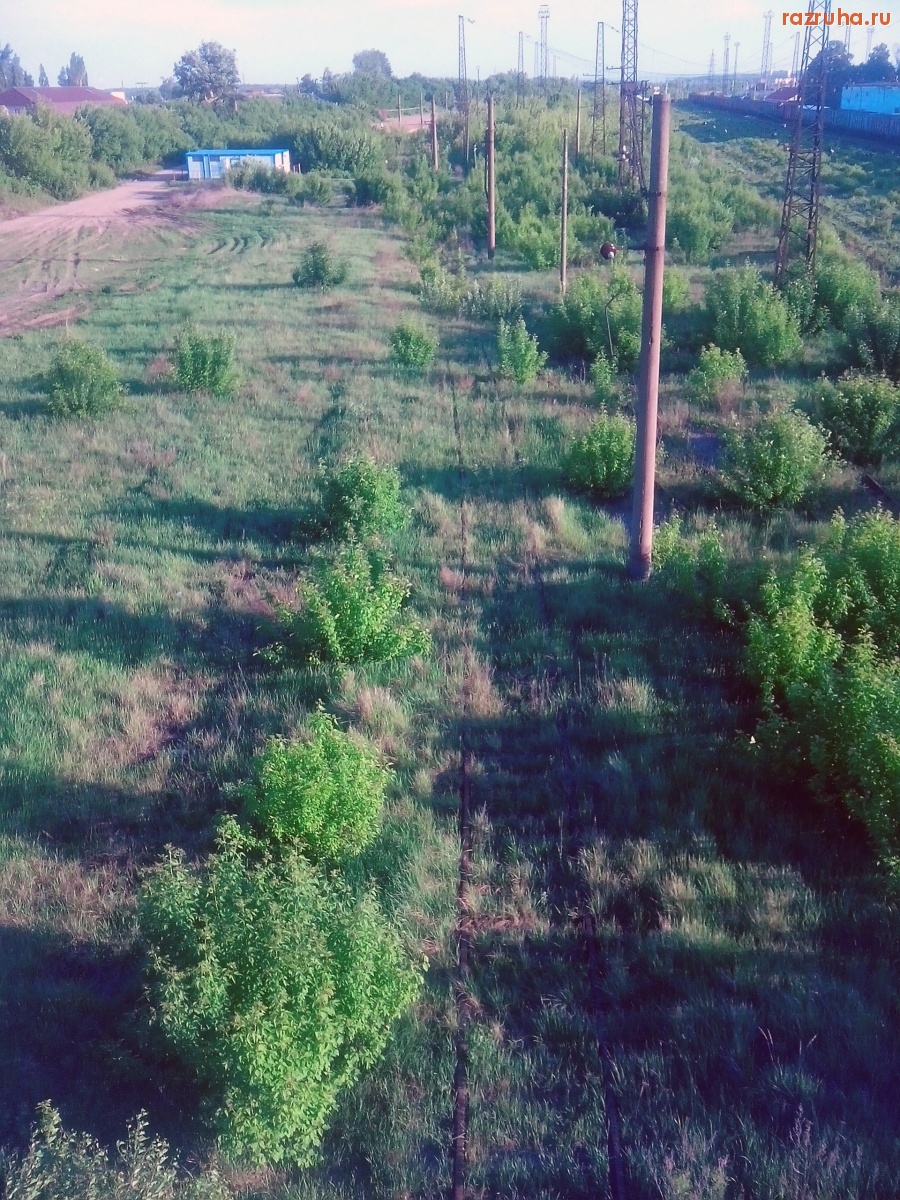 Курск - Заросшие пути