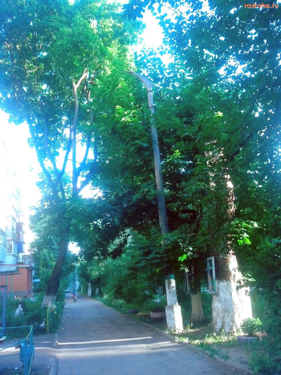 Курск - Столбы без фонарей