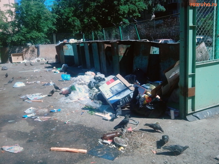 Курск - Вонючая помойка