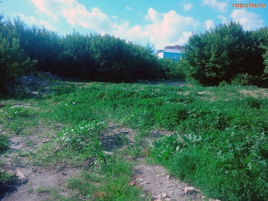 Курск - Пустырь