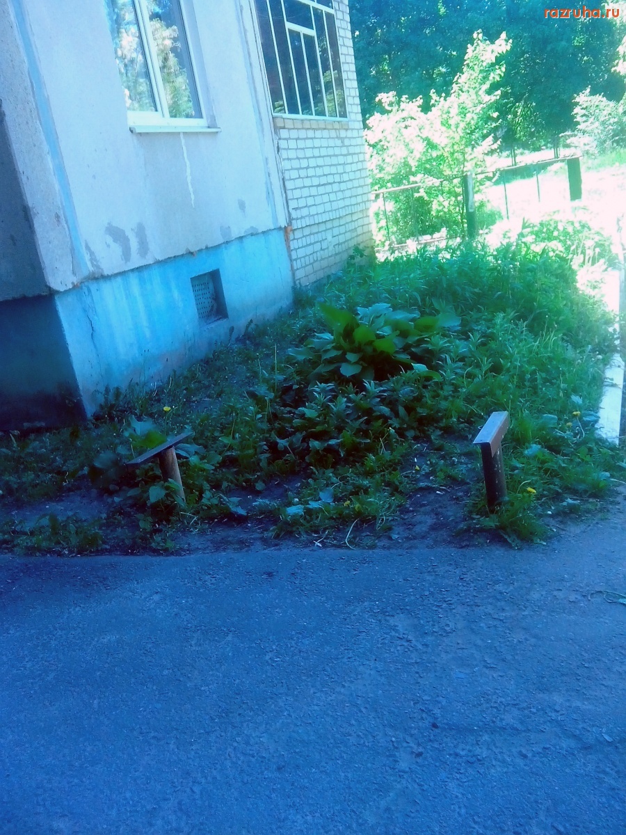 Курск - Лавка