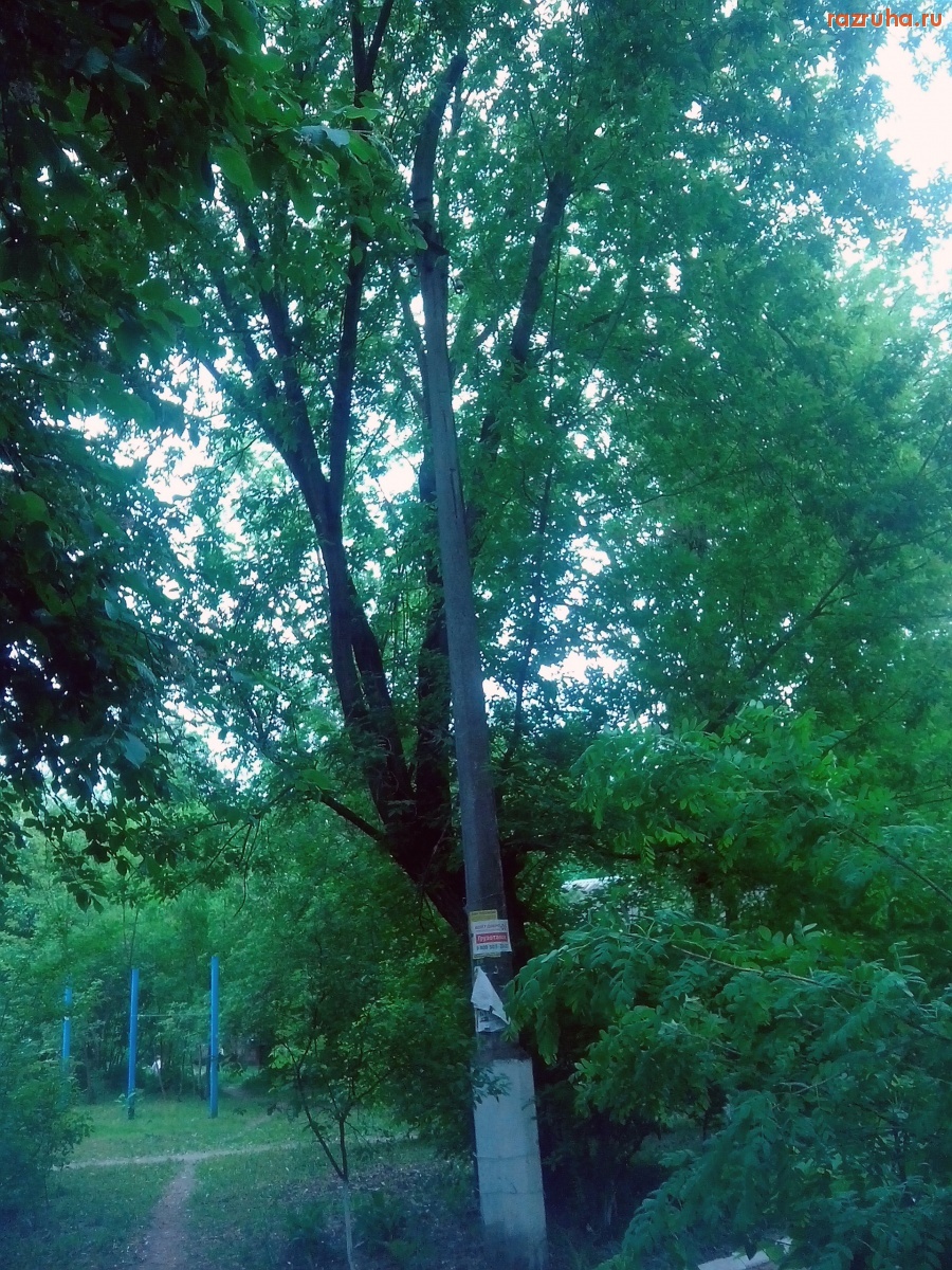 Курск - Столб без фонаря