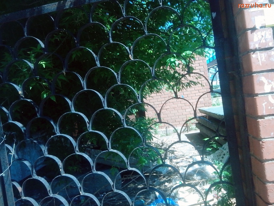 Курск - Закрыли аптеку