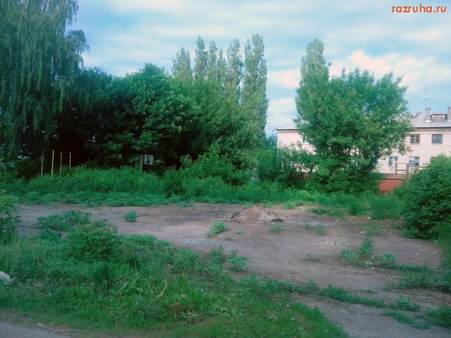 Курск - Зарастает