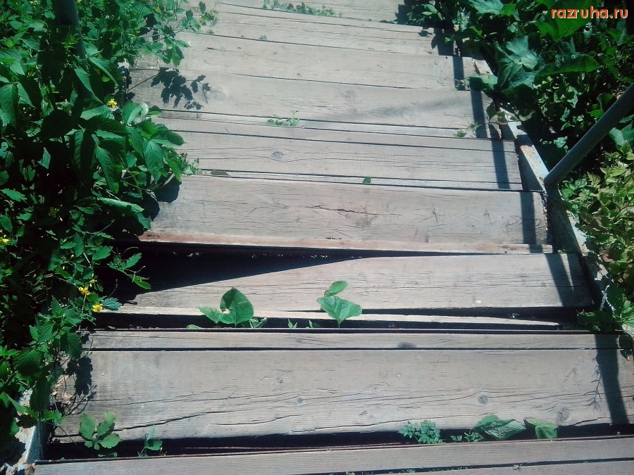 Курск - Ловушка на лестнице