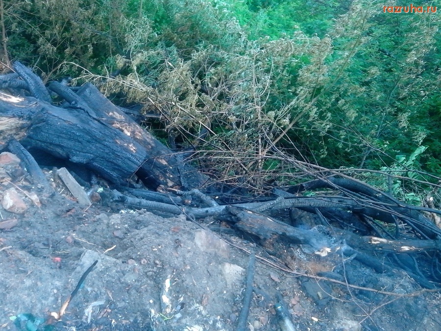 Курск - О пожарной безопасности