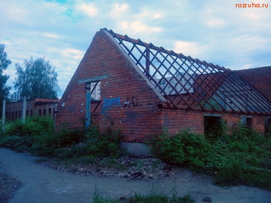 Курск - Теплица