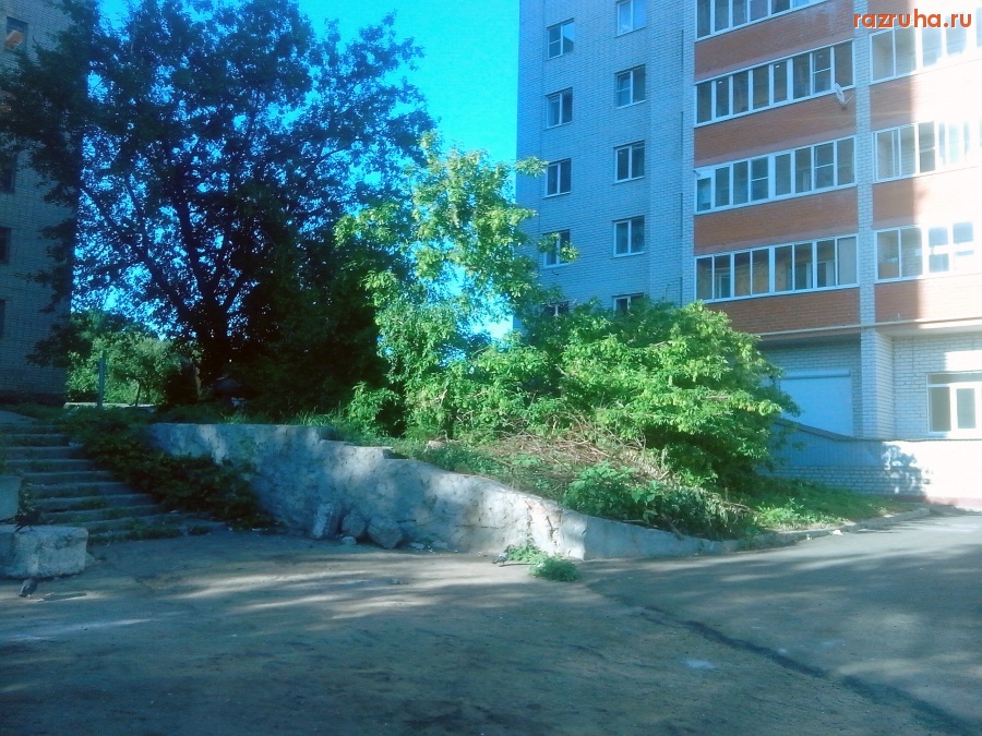 Курск - Дерево упало