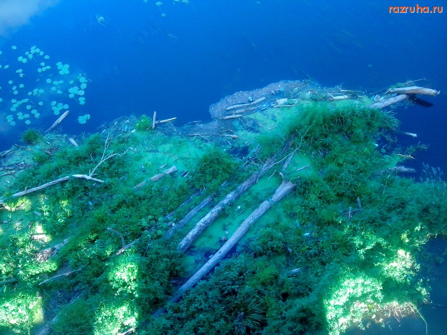 Курск - Брёвна приплыли