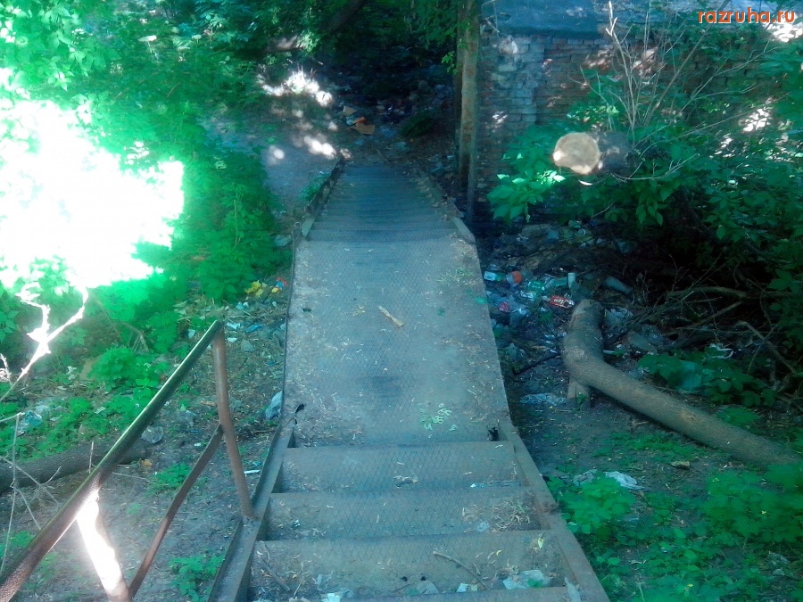 Курск - Гадят у лестницы