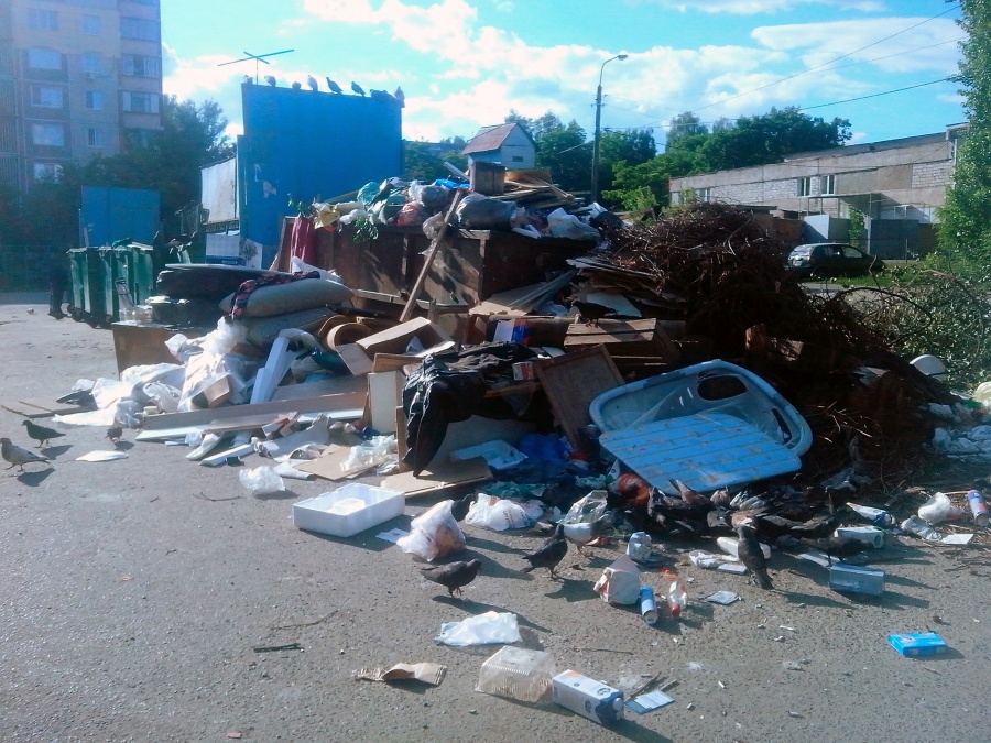 Курск - Куча на помойке