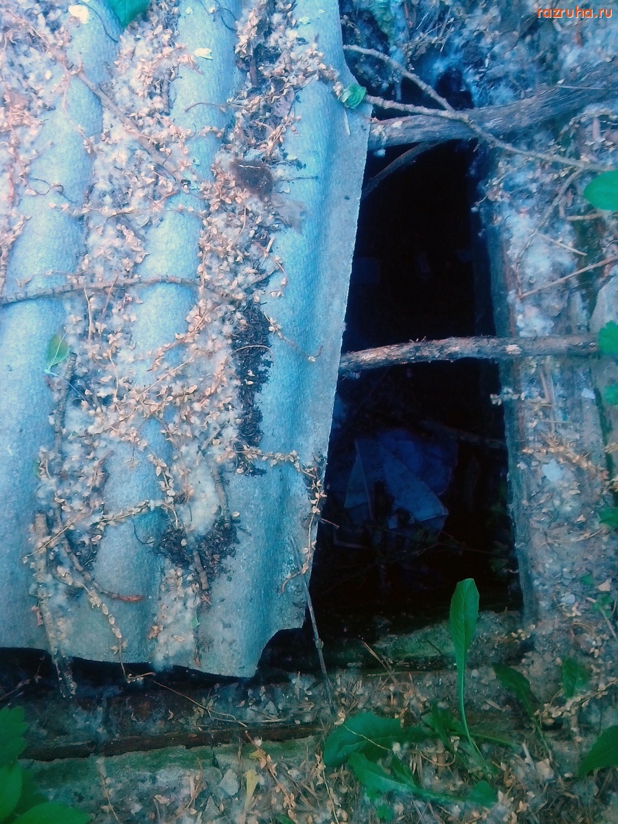 Курск - Дырка