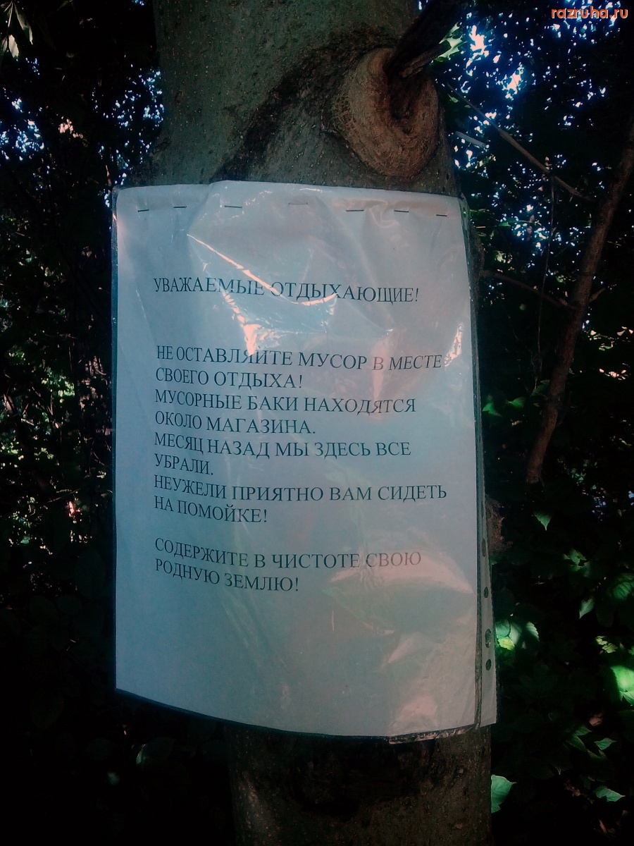 Курск - Объявление в быдлятнике