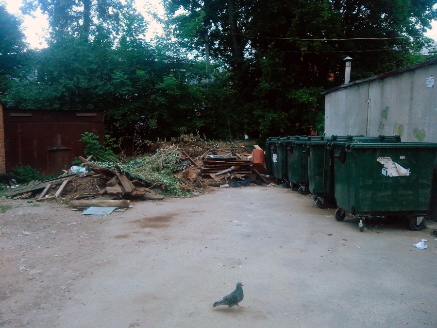 Курск - Куча на помойке