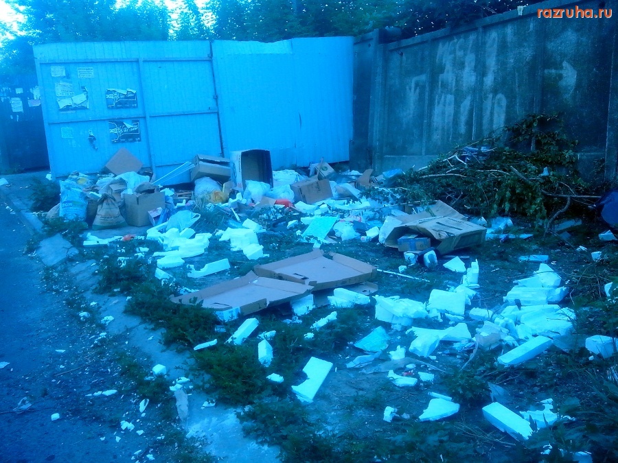 Курск - Нагадили у помойки