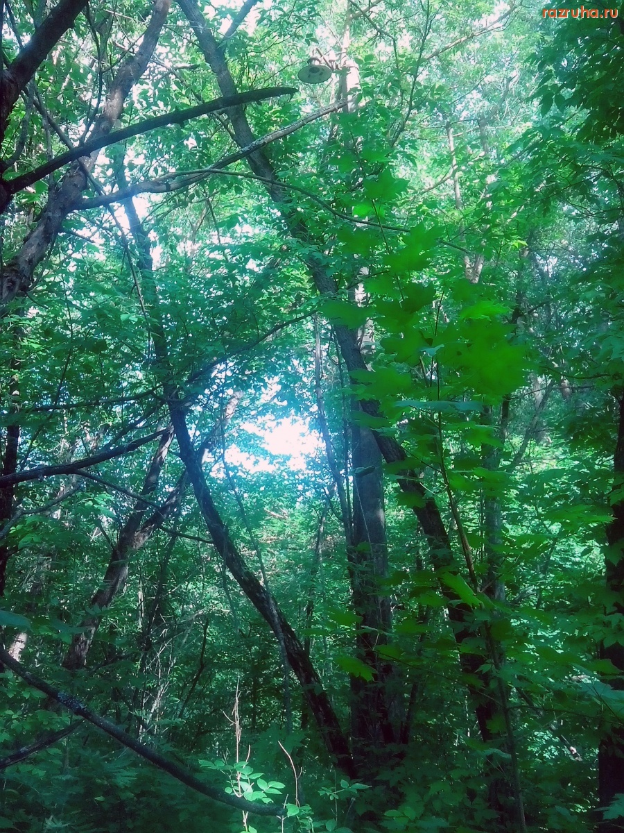 Курск - Столб без лампочки