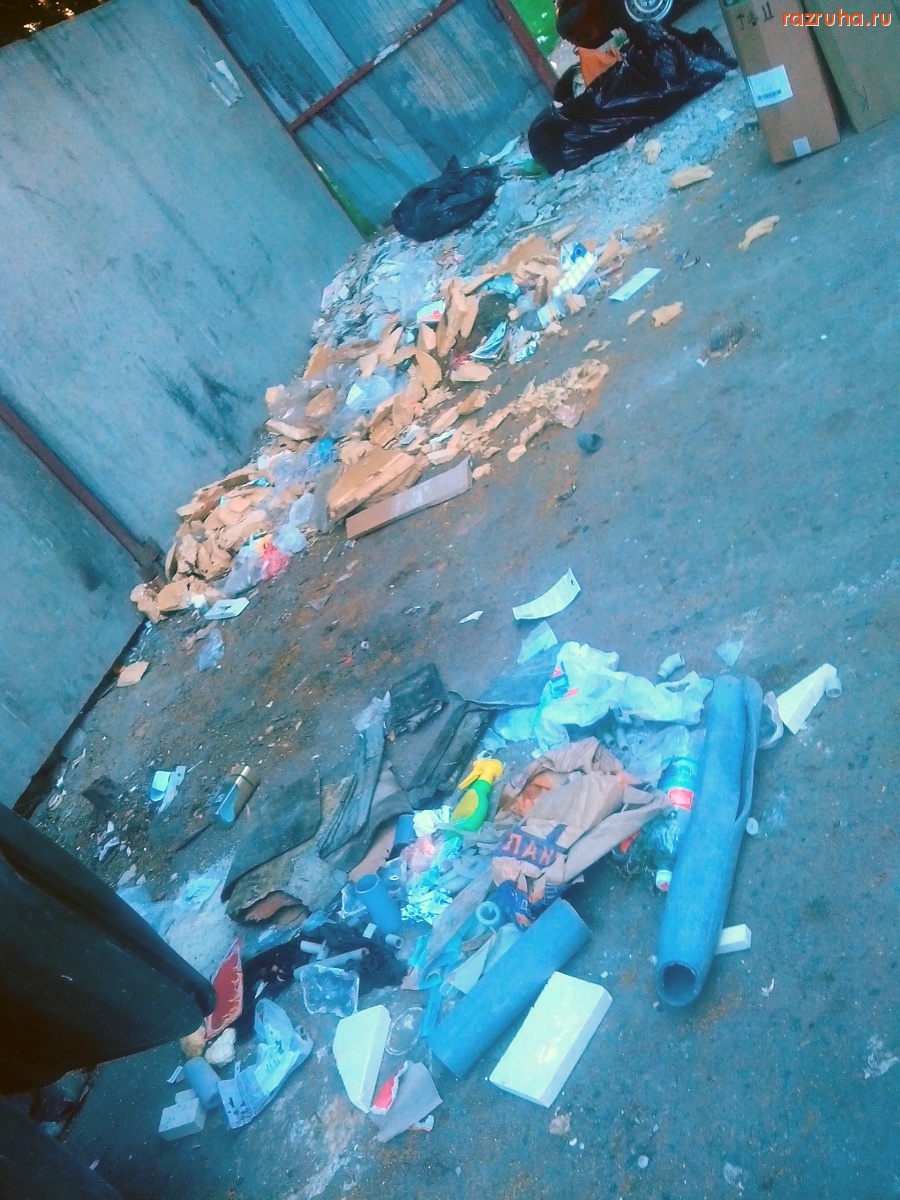 Курск - Грязь на помойке