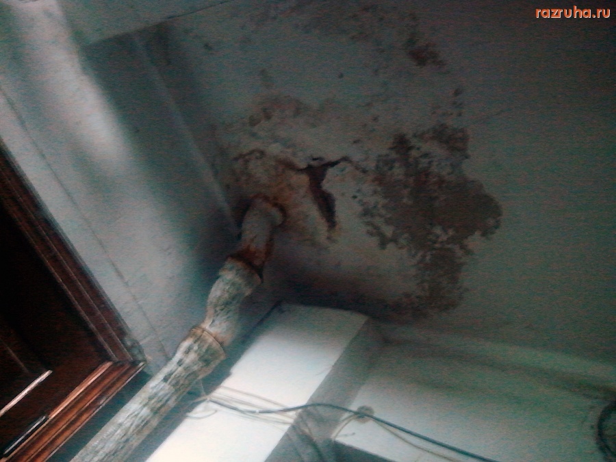 Курск - Потолок