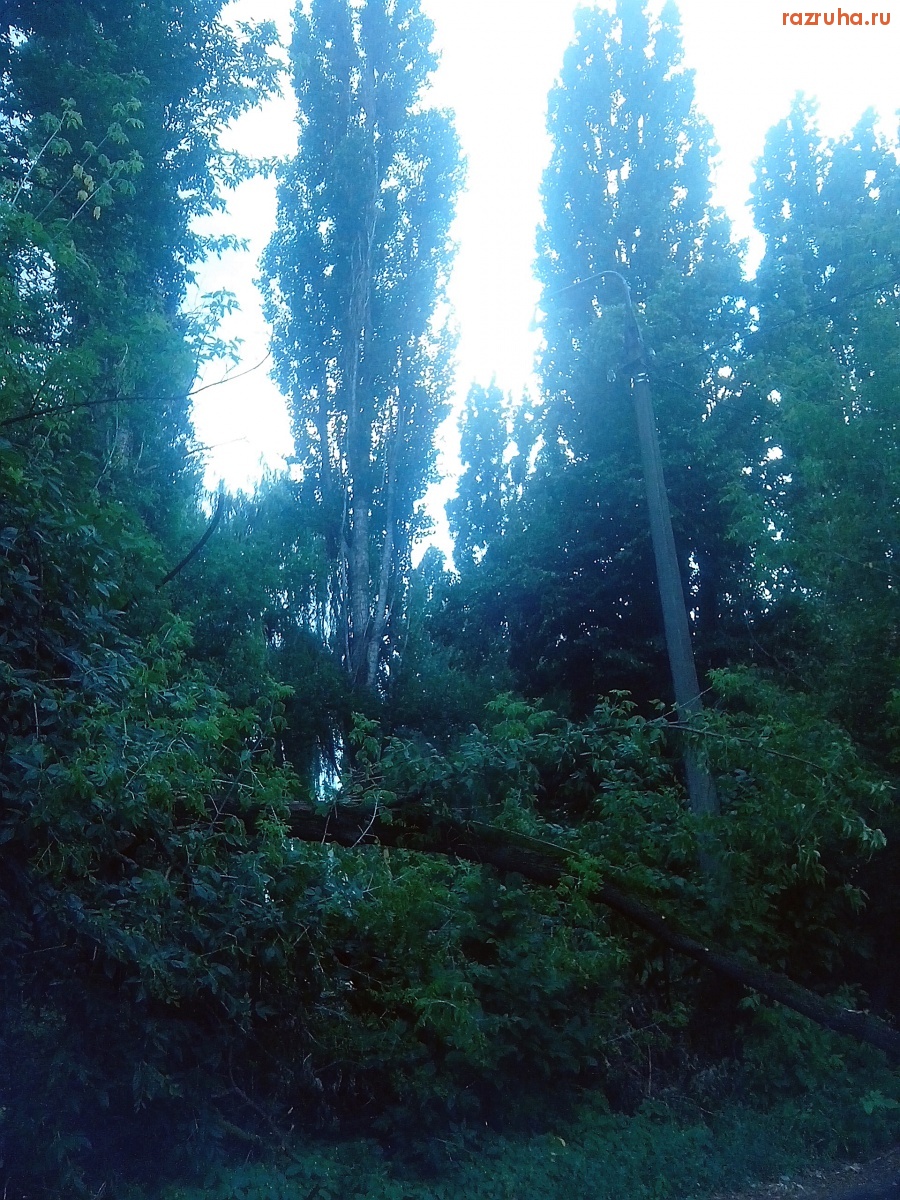 Курск - Столбы без фонарей