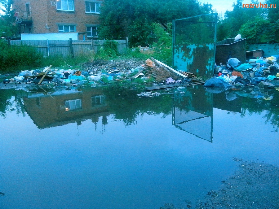 Курск - Дождь на помойке