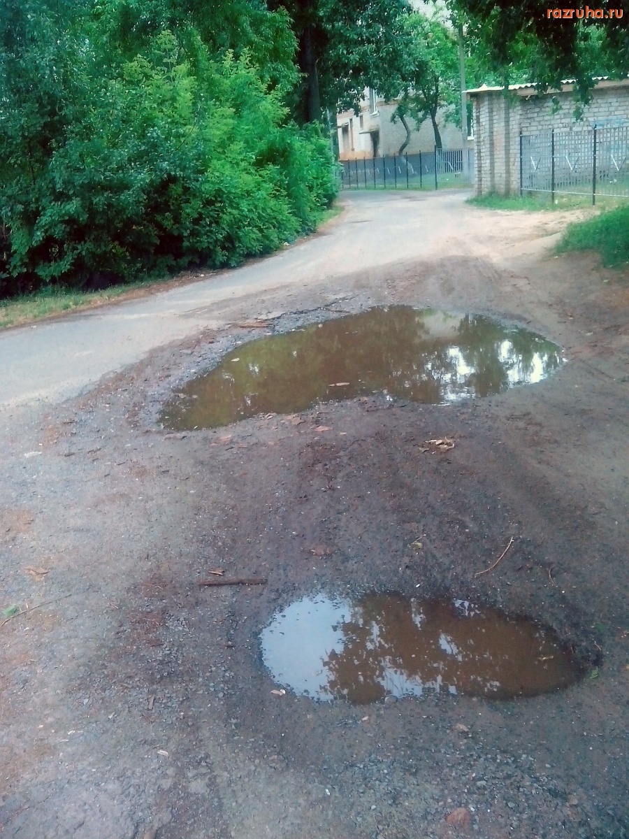 Курск - Лужа на дороге