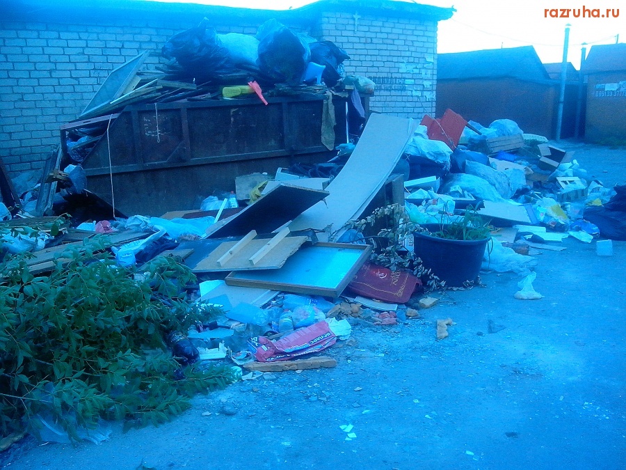 Курск - Куча на помойке