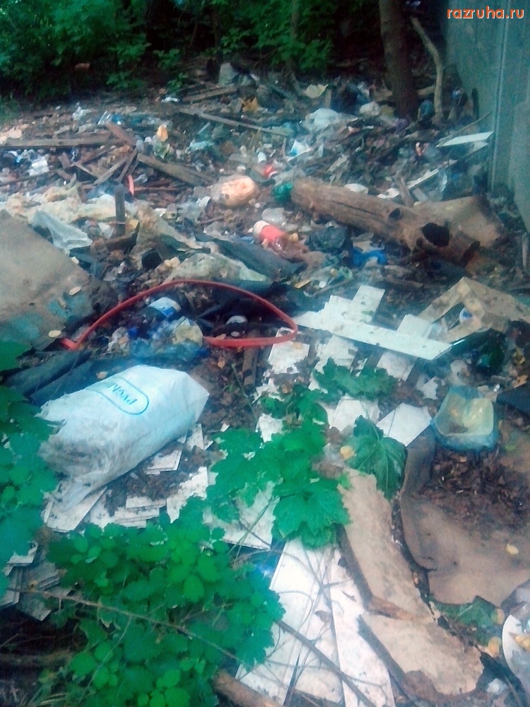 Курск - Мусор в кустах