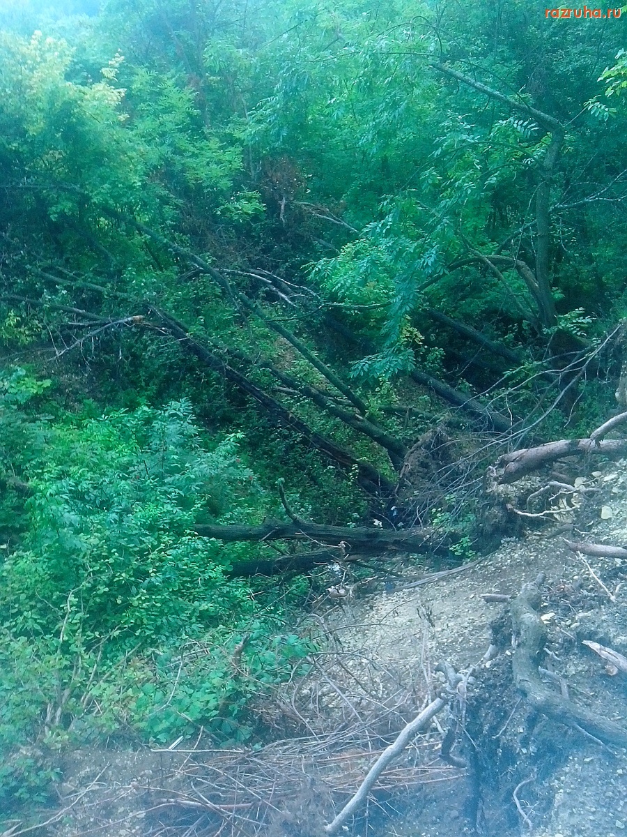 Курск - Рождение оврага