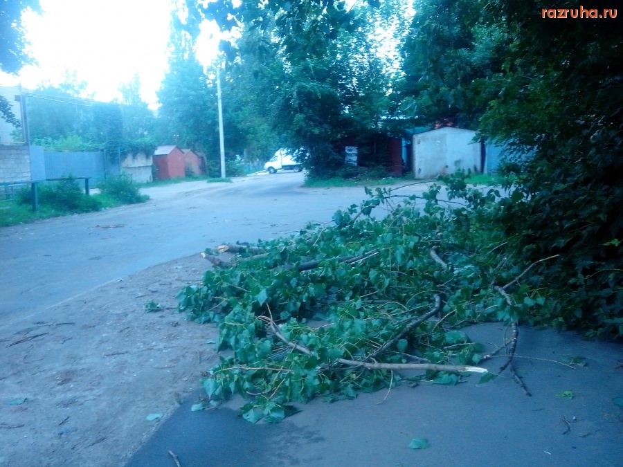 Курск - Ветки навалились