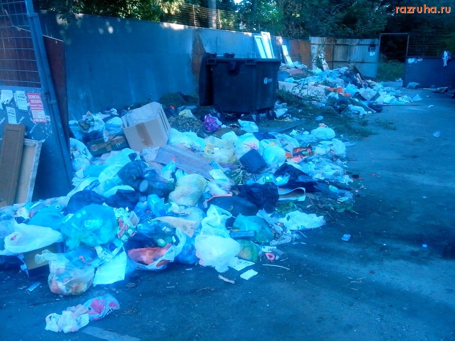 Курск - Куча большая