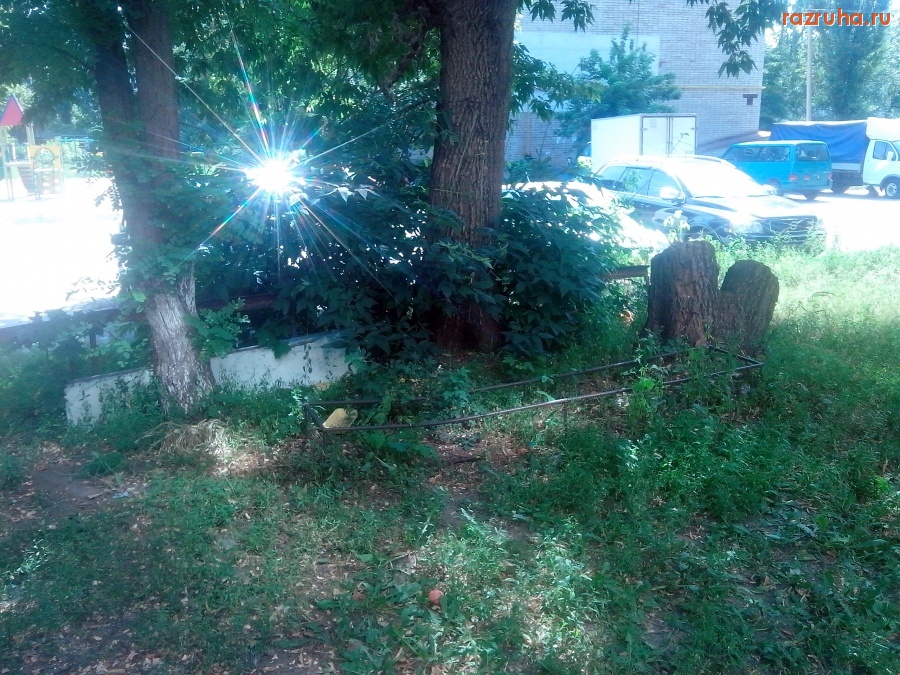 Курск - Лавка