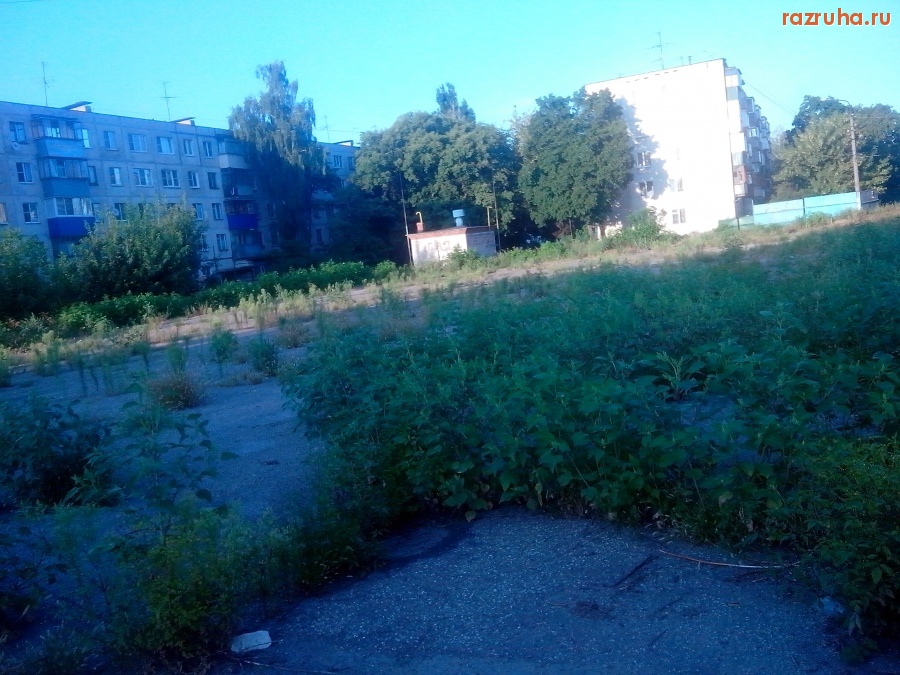 Курск - Зарастает площадка