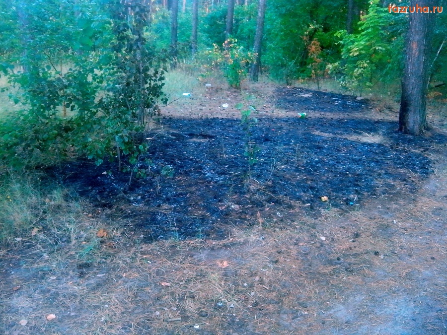 Курск - Подгорело