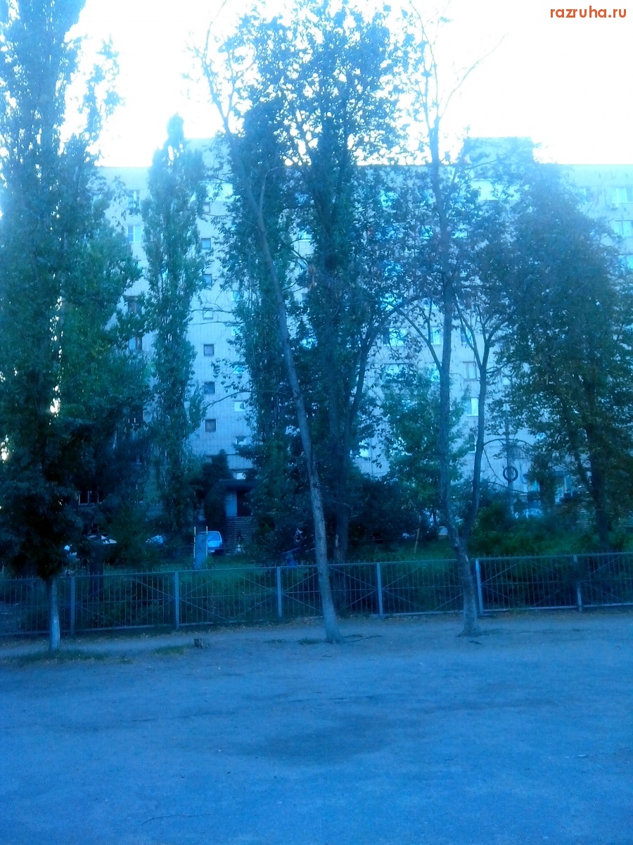 Курск - Деревья засохли