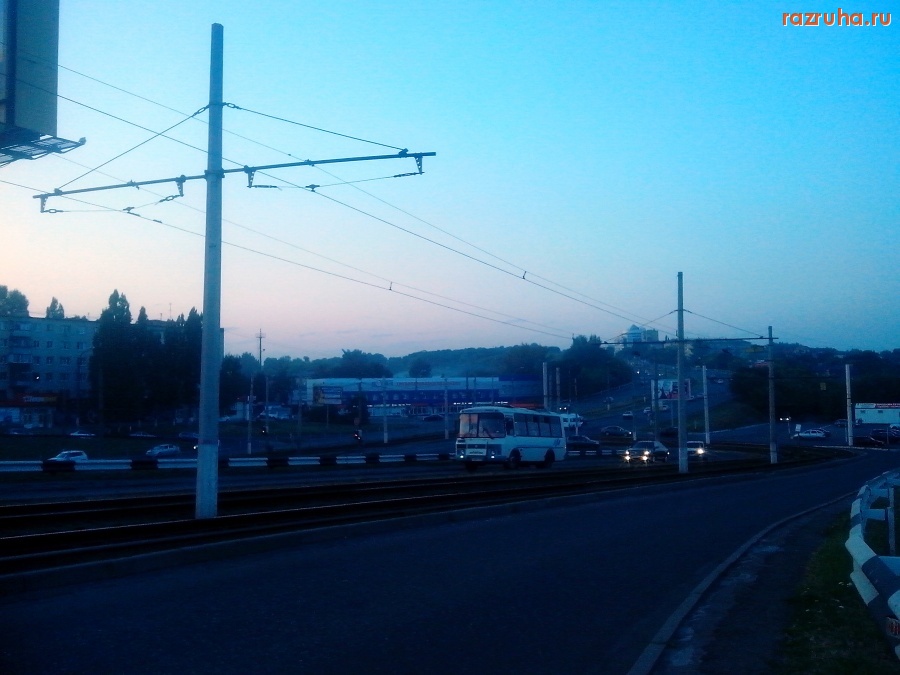 Курск - Ароматы листьев