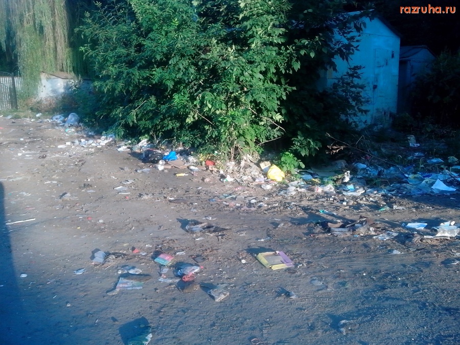 Курск - Мусорное свинство
