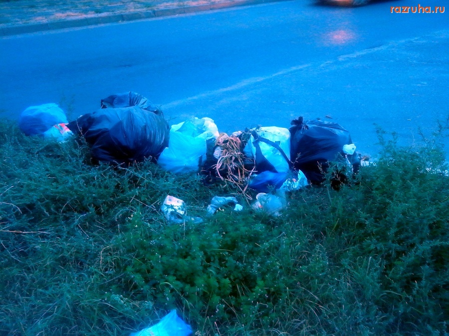 Курск - Гадят