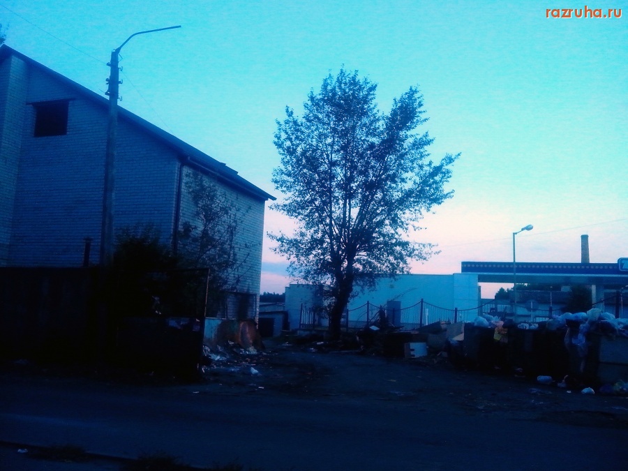 Курск - Вечер на помойке