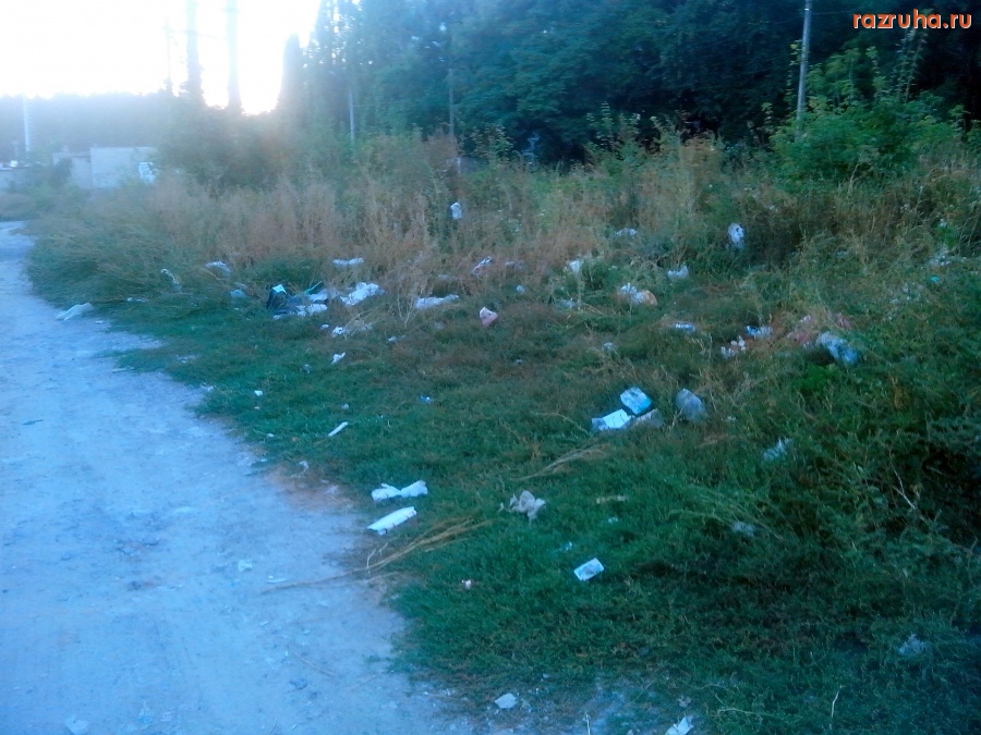 Курск - У помойки