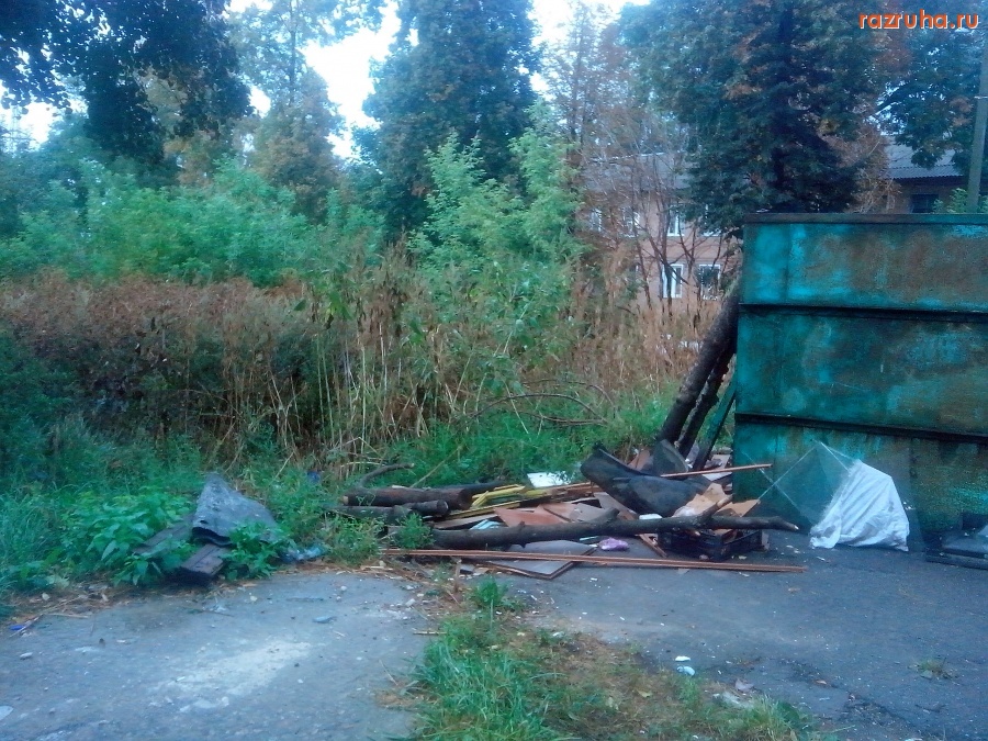 Курск - За помойкой