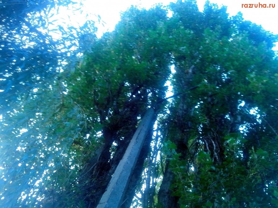 Курск - Столб без фонаря