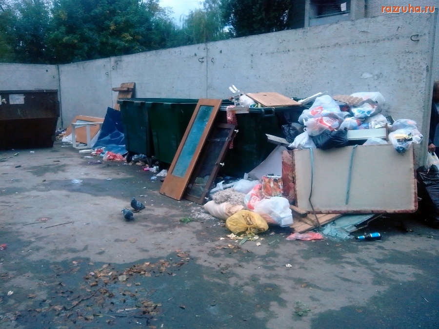Курск - Грязная помойка