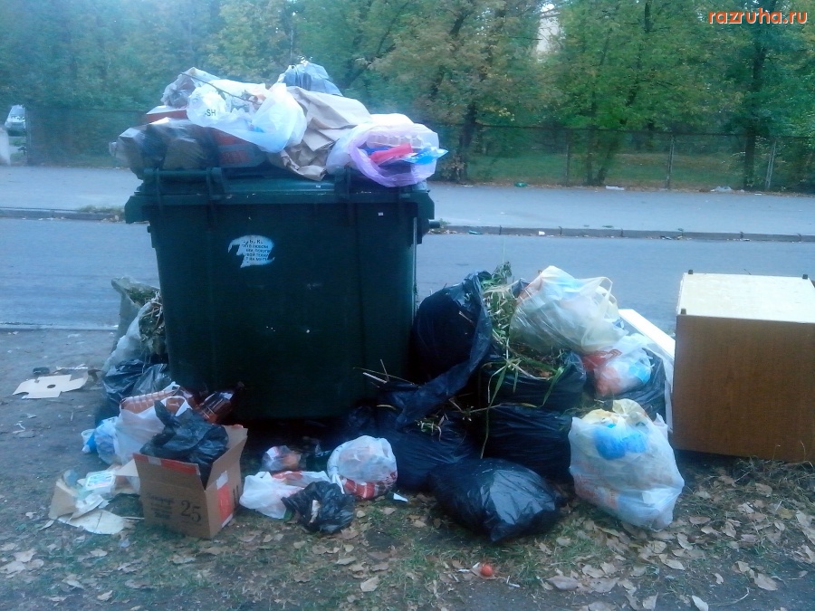 Курск - Помойная реформа