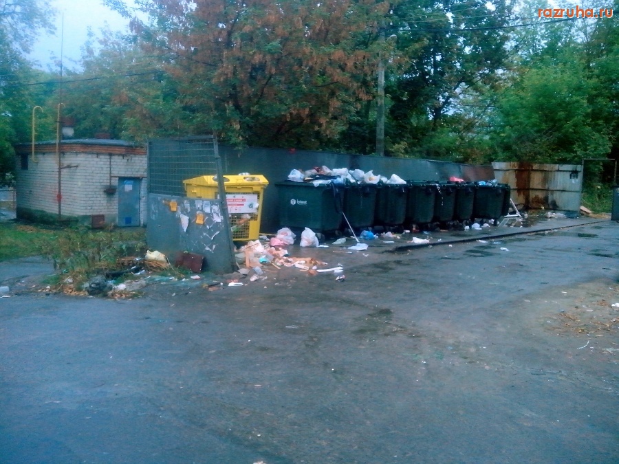 Курск - Грязь на помойке