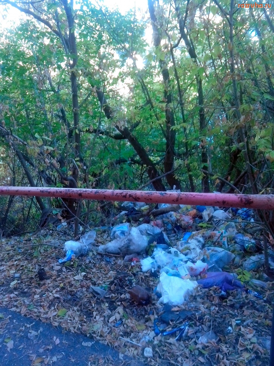 Курск - Консерватизм